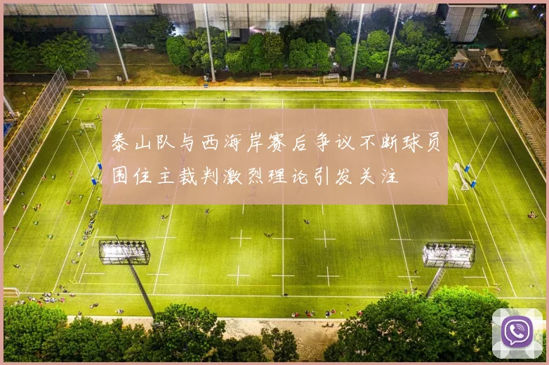 泰山队与西海岸赛后争议不断球员围住主裁判激烈理论引发关注
