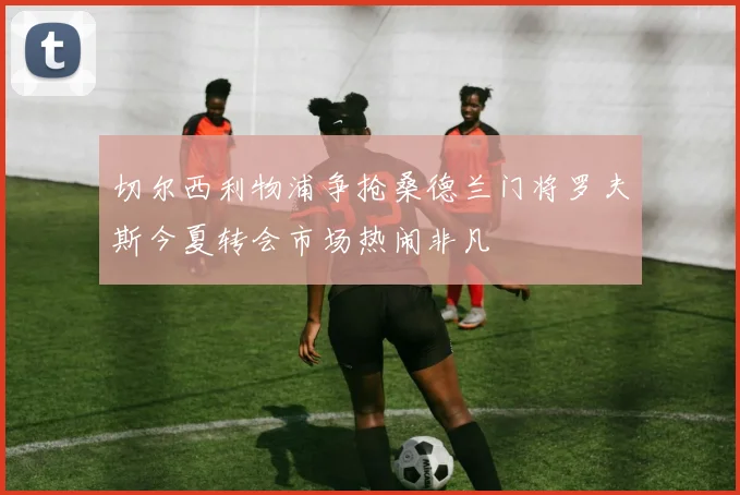 切尔西利物浦争抢桑德兰门将罗夫斯今夏转会市场热闹非凡